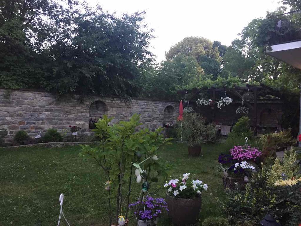 Celebrity Vila Kamianets-Podilskyi Exterior foto